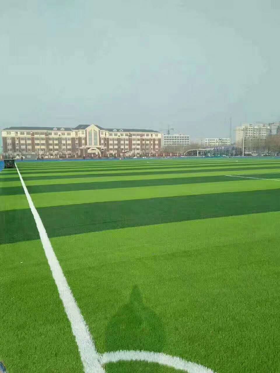 辽阳市仿真草坪仿真草坪 - 价格